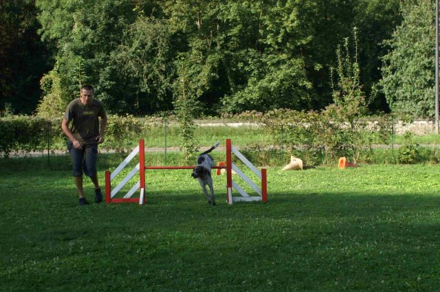 agility 2011-08